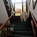 ホテル ドルドレヒト ドルドレヒト